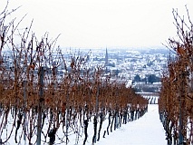 winter_-_ueber_deidesheim_in_der_frueh_213